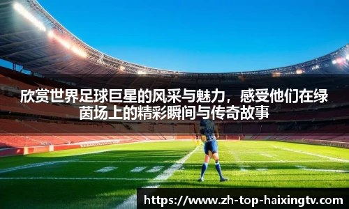 欣赏世界足球巨星的风采与魅力，感受他们在绿茵场上的精彩瞬间与传奇故事