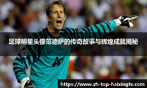 足球明星头像范德萨的传奇故事与辉煌成就揭秘